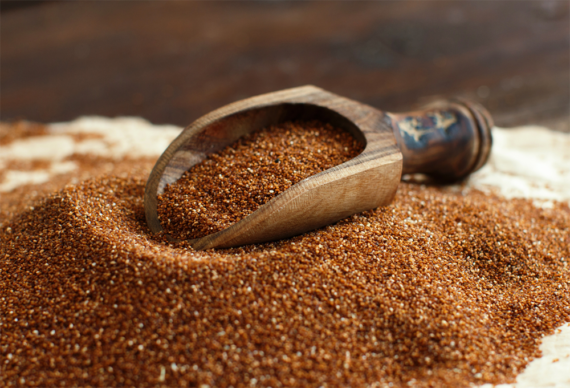 teff cereale africano senza glutine